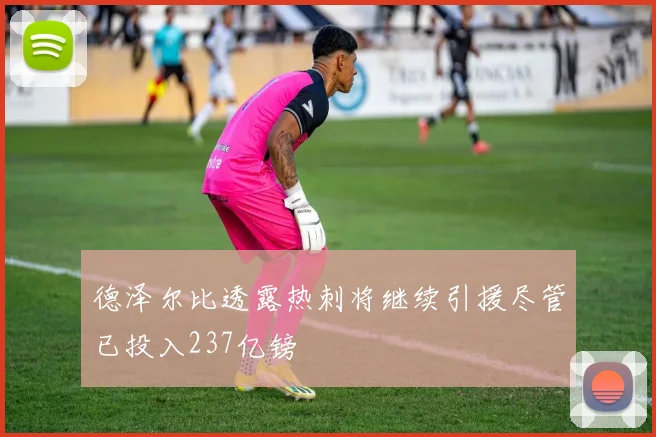 德泽尔比透露热刺将继续引援尽管已投入237亿镑